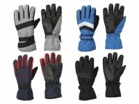 Lidl  CRIVIT® Herren Ski-Handschuhe