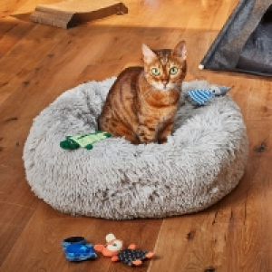 Katzenbett 24.24 €