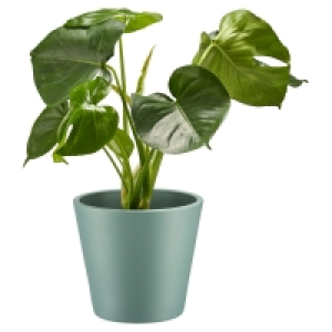GARDENLINE® Keramikübertopf
