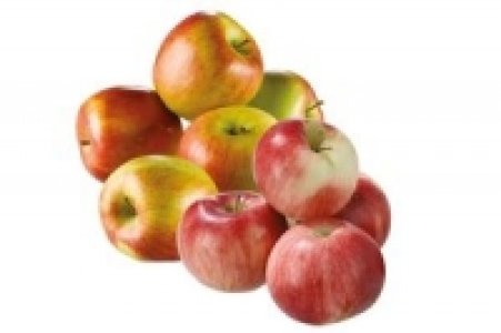 &Auml;pfel, verschiedene Sorten 2.49&nbsp;&euro;