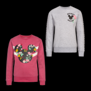 Sweatshirt 6.99 €