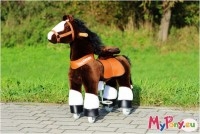 Euronics Ponycycle Ponycycle Mister ED (medium) Spielzeug braun