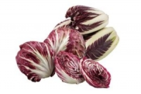 Radicchio 4.99&nbsp;&euro;