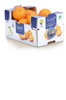 Ebl Naturkost Italienische Orangen in der 3-kg-Kiste