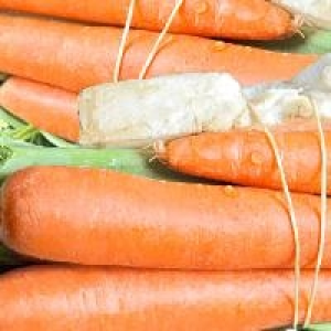 Suppengrün 0.75 €