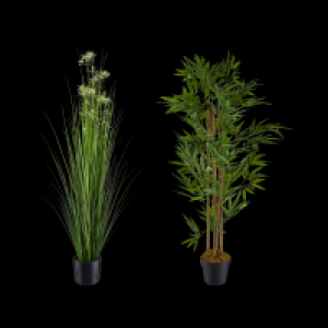 LIVING ART Künstliche Pflanze 29.99 €