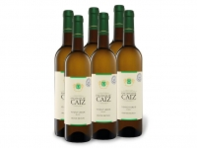 6 x 0,75-l-Flasche Weinpaket Encostas de Caiz Grande Escolha Vinho Ver 19.99 €