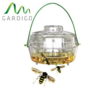 Fliegen- und Wespenfalle 7.99&nbsp;&euro;