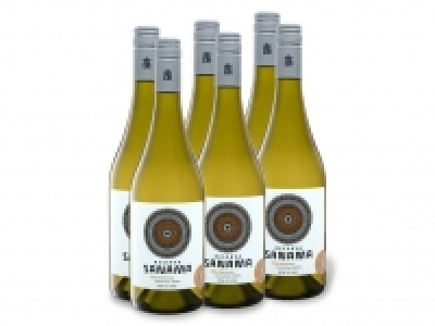 Lidl  6 x 0,75-l-Flasche Sanama Chardonnay Chile Cachapoal Andes Valley troc