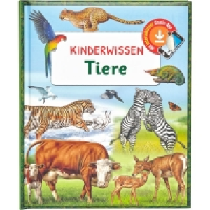 Ideenwelt Kinderwissen Buch Tiere