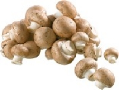 Denns  Bio-Steinchampignons