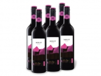 Lidl  6 x 0,75-l-Flasche Central Valley Merlot Chile trocken, Rotwein