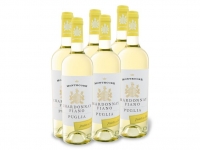 Lidl  6 x 0,75-l-Flasche Weinpaket Montecore Chardonnay/Fiano Puglia IGP, We