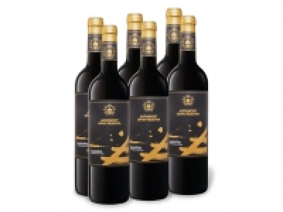 6 x 0,75-l-Flasche Weinpaket Agramont Navarra DO Gran Reserva trocken, 26.99 €