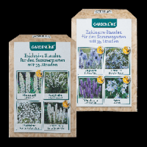 GARDENLINE Stauden für den Sommergarten 5.99 €