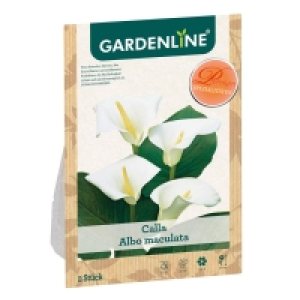 GARDENLINE® Blumenzwiebeln