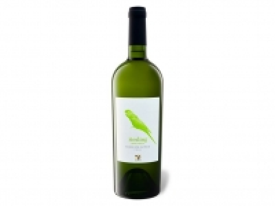 VIAJERO Riesling Valle de Leyda trocken, Weißwein 2019 3.99 €