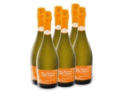 6 x 0,75-l-Flasche Weinpaket Fior dArancio Colli Euganei DOCG süß, Sc 29.99 €