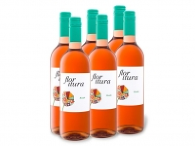 6 x 0,75-l-Flasche Weinpaket Flor Itura VdT de Castilla y León trocken 34.99 €