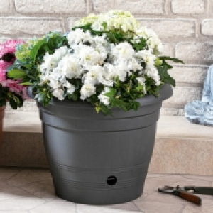 Blumentopf Flora 4.99 €