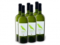 Lidl  6 x 0,75-l-Flasche Weinpaket Riesling Valle de Leyda trocken, Weißwein