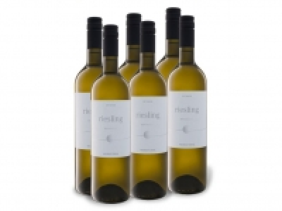 6 x 0,75-l-Flasche Weinpaket Weingut Diehl Riesling Schlossberg Ortswe 34.99 €