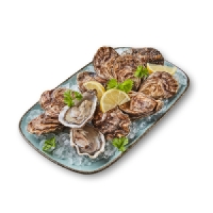 GOURMET Felsenaustern
