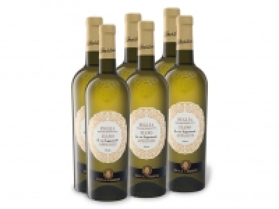 6 x 0,75-l-Flasche Weinpaket Duca di Sasseta Fiano da uve leggermente  25.99 €