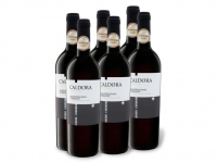 Lidl  6 x 0,75-l-Flasche Weinpaket Caldora Montepulciano dAbruzzo DOC trock