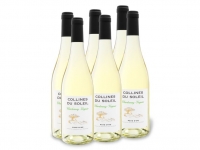 Lidl  6 x 0,75-l-Flasche Collines du Soleil Chardonnay - Viognier IGP trocke