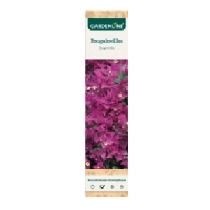 Aldi Süd  GARDENLINE® Premium Beetpflanzen