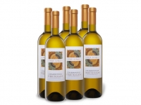 Lidl  6 x 0,75-l-Flasche Weinpaket Chardonnay Terre Siciliane IGP, Weißwein