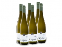 Lidl  6 x 0,75-l-Flasche Weinpaket WEINGALERIE Weißer Burgunder QbA trocken