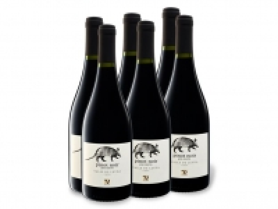 6 x 0,75-l-Flasche Weinpaket Pinot Noir Valle de Leyda Gran Reserva tr 31.99 €