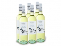 Lidl  6 x 0,75-l-Flasche Weinpaket Magnolia Pinot Grigio Colline Pescaresi I