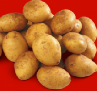 Speisefr&uuml;hkartoffeln Spargelkartoffeln