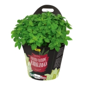 Gusto Verde Eataliano Grill- und Cocktailkräuter 2.49 €
