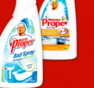MEISTER PROPER Bad- oder K&uuml;chen-Spray 1.59&nbsp;&euro;