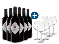 Lidl  6 x 0,75-l-Flasche Weinpaket Villa Betta Primitivo Salento IGP, Rotwei