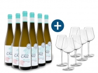 Lidl  6 x 0,75-l-Flasche Weinpaket Encostas de Caíz Alvarinho trocken, Weißw