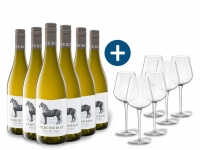 Lidl  6 x 0,75-l-Flasche Weinpaket Percheron Südafrika Chenin Blanc Viognier
