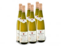 Lidl  6 x 0,75-l-Flasche Weinpaket Jean Cornelius Alsace Riesling AOC trocke