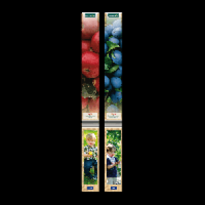 GARDENLINE Obstbaum 3.99 €