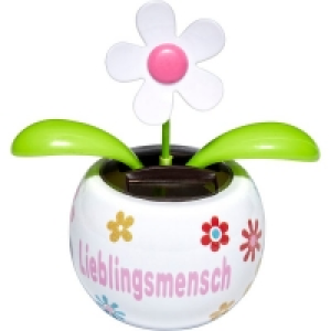 Rossmann Ideenwelt Solar-Gute-Laune-Blume Lieblingsmensch