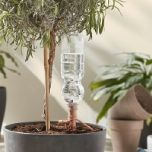 GARDENLINE® Pflanzenbewässerungsset 4.99 €