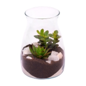 GARDENLINE® Sukkulente im Glas