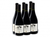 Lidl  6 x 0,75-l-Flasche Weinpaket Pinot Noir Valle de Leyda Gran Reserva tr