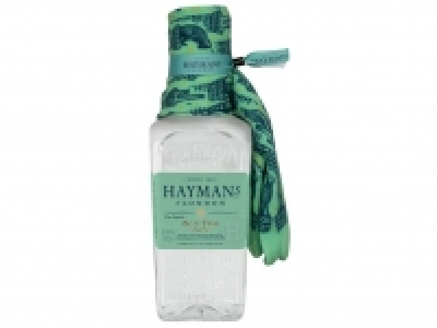 Haymans Old Tom Gin 41,4% Vol 21.99 €