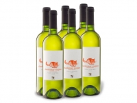 Lidl  6 x 0,75-l-Flasche VIAJERO Chardonnay-Viognier Reserva Privada Valle C