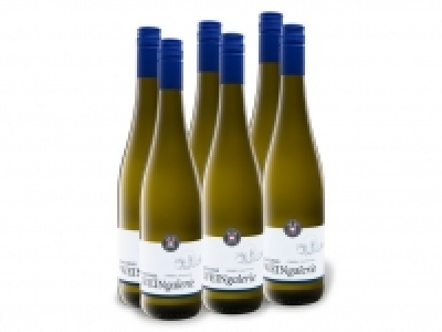Lidl  6 x 0,75-l-Flasche Weinpaket WEINGALERIE Bacchus QbA halbtrocken